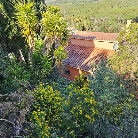 Montagne Vue Panoramique Sur Chalet