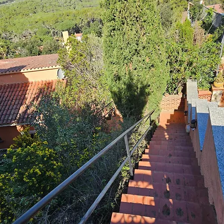 Montagne Vue Panoramique Sur Chalet